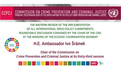 H.E. Ambassador Ivo Šrámek Chair of the Commission