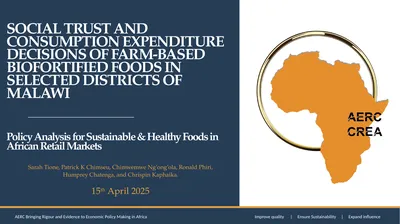 SOCIAL TRUST AND CONSUMPTION EXPENDITURE DECISIONS