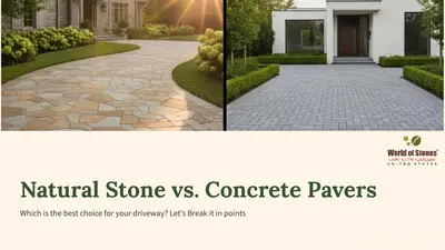 Natural Stone vs Concrete Pavers for Driveways