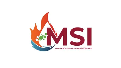 Your Trusted Mold Inspection Specialists: The MSI Advantage
