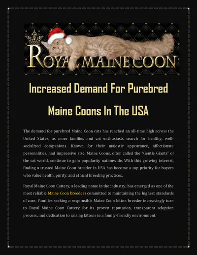 Increased Demand For Purebred Maine Coons In The USA
