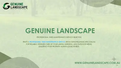 Professional Yard Maintenance Service Near You