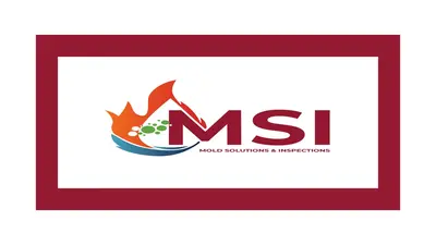 The Complete Guide to Professional Mold Inspections with MSI