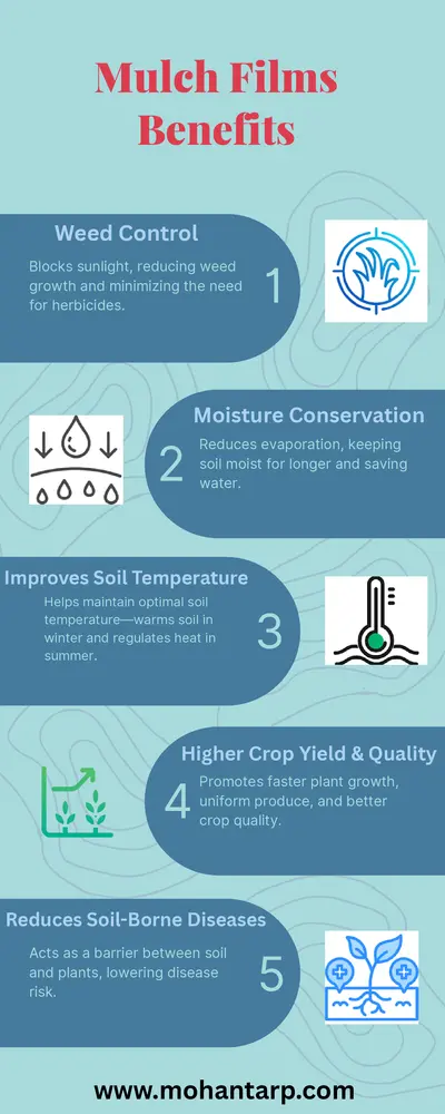 Top Benefits of Mulch Films in Modern Agriculture