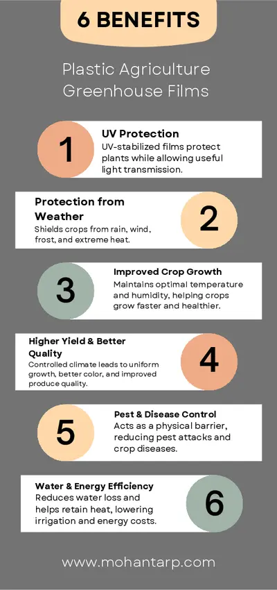 Greenhouse Films for Higher Yield & Better Crop Protection