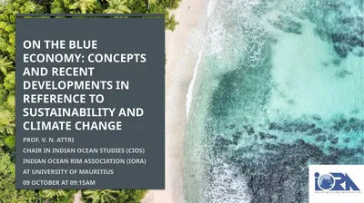 On the Blue Economy: Concepts and Recent