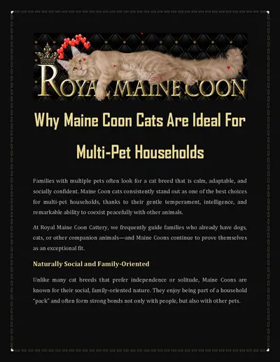 Why Maine Coon Cats Are Ideal For Multi-Pet Households