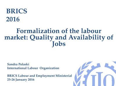 BRICS 2016 Formalization of the labour market: