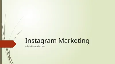 Instagram Marketing A brief introduction Instagram
