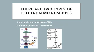 There are two types of electron microscopes