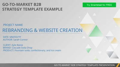 GO-TO-MARKET B2B STRATEGY TEMPLATE EXAMPLE