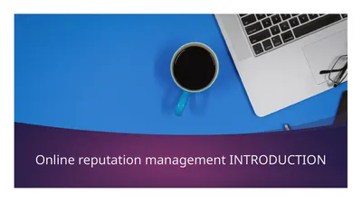 Online reputation management INTRODUCTION Online