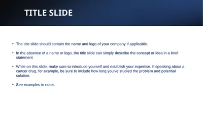 TITLE SLIDE The title slide should contain the