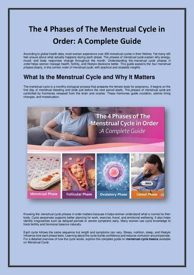 The 4 Phases of The Menstrual Cycle in Order: A Complete Guide