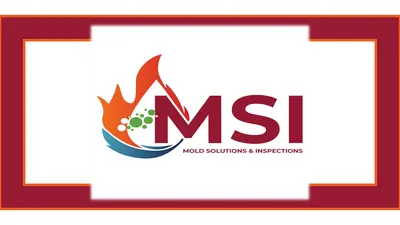 Water Damage Restoration Services You Can Trust -MSI