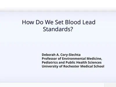 Deborah A. Cory-Slechta Professor of Environmental