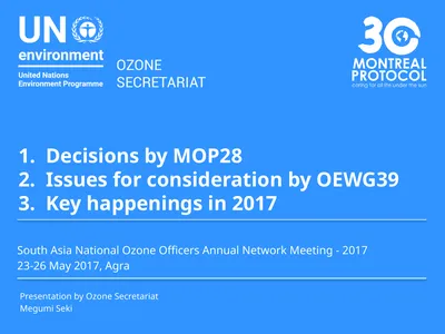 1. Decisions by MOP28 2. Issues for consideration