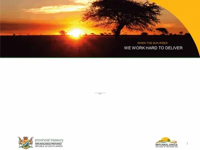 MPUMALANGA ECONOMY – PERFORMANCE, CHALLENGES AND