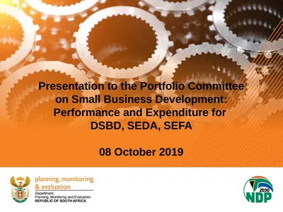 Presentation to the Portfolio Committee on Small