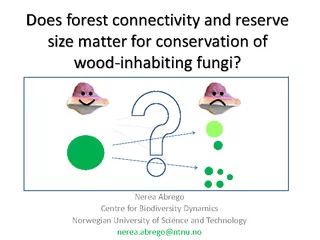 Does forest connectivity and reserve