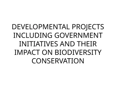 DEVELOPMENTAL PROJECTS INCLUDING GOVERNMENT