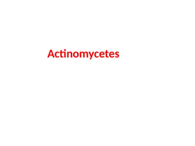 Actinomycetes classification Domain:Bacteria