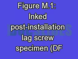 Appendix M Figure M.1:  Inked post-installation lag screw specimen (DF