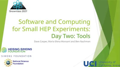 Software and Computing for Small HEP Experiments: