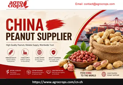 China Peanut Supplier