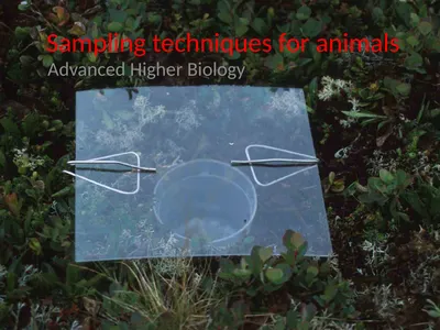 Sampling techniques for animals Advanced Higher
