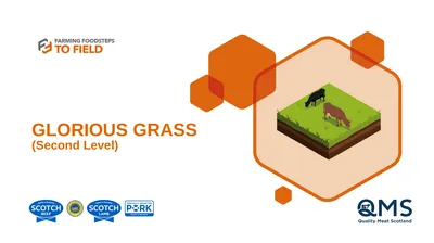 GLORIOUS GRASS (Second Level) This presentation
