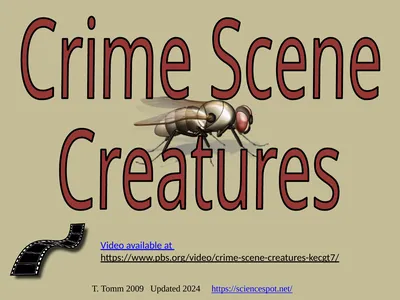 T. Tomm 2009 Updated 2024 https://sciencespot.net/