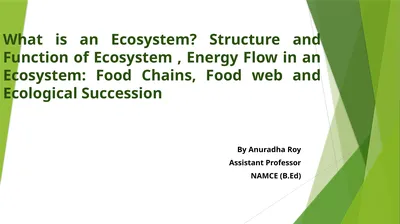 What is an Ecosystem? Structure and Function of