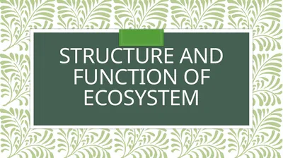 Structure and function of Ecosystem An Ecosystem