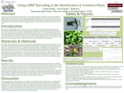 Using UBRP Barcoding in the Identification of