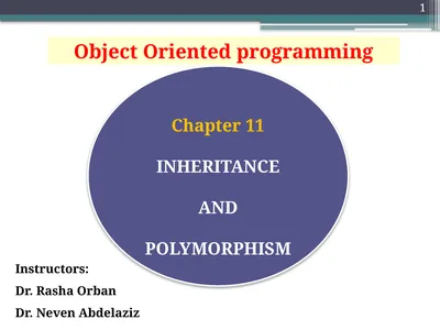 1 Object Oriented programming Instructors: Dr.