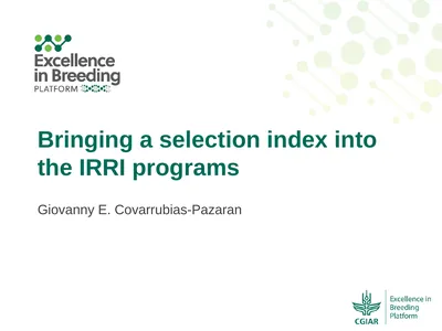 Bringing a selection index into the IRRI programs