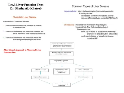 Lec.3 Liver Function Tests Dr. Shatha AL-Khateeb