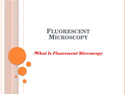 Fluorescent Microscopy What Is Fluorescent