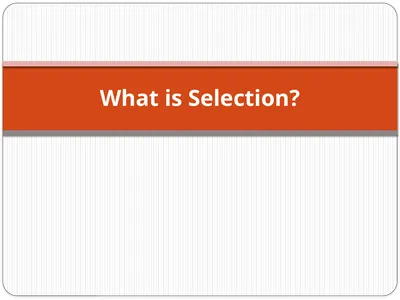 What is Selection? What is Selection? Selection is