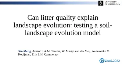Can litter quality explain landscape evolution: