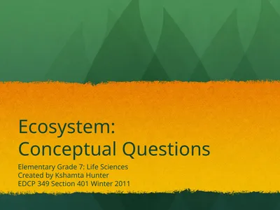 Ecosystem: Conceptual Questions Elementary Grade