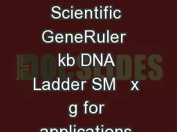 PRODUCT INFORMATION Thermo Scientific GeneRuler  kb DNA Ladder SM   x  g for  applications Lot  Concentration 