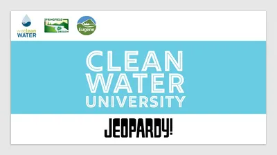 Rainwater that flows over streets, driveways, and