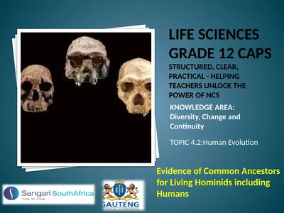 Life sciences Grade 12 CAPS structured, clear,