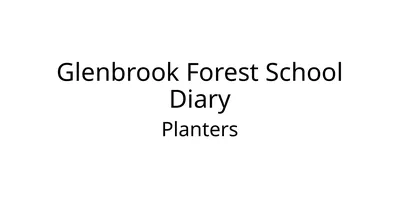 Glenbrook Forest School Diary Planters