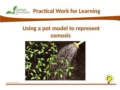 Practical Work for Learning Using a pot model to