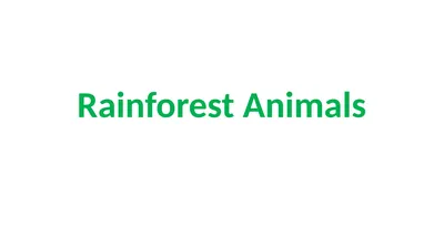 Rainforest Animals Squirrel Butterfly Snake Fish