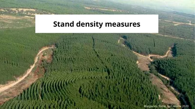 Stand density measures Stocking and stand density