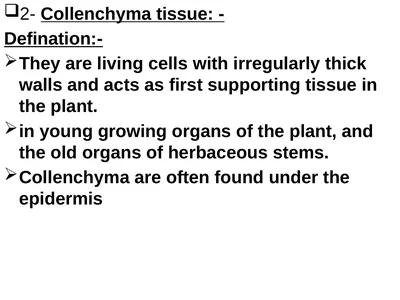 2- Collenchyma tissue: - Defination:- They are